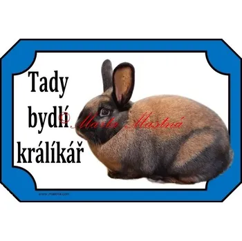 Cedulka králík durynský 2 - Bez samolepicí vrstvy