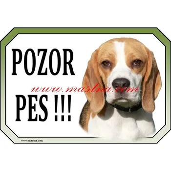 Cedulka bígl, beagle - Bez samolepicí vrstvy