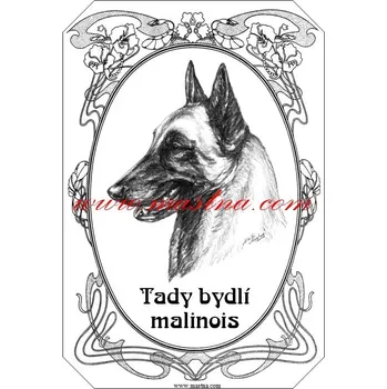 Cedulka belgický ovčák malinois ovál - Bez samolepicí vrstvy