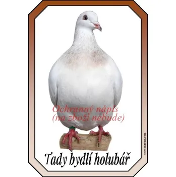 Cedulka holub texan - Bez samolepicí vrstvy