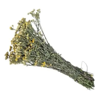 Vetvička do sauny TANSY