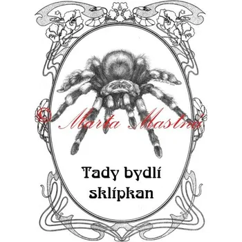 Cedulka pavouk sklípkan - Bez samolepicí vrstvy