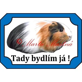 Cedulka morče dl 2 - Bez samolepicí vrstvy