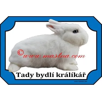 Cedulka králík hermelín bílý modrooký - Bez samolepicí vrstvy