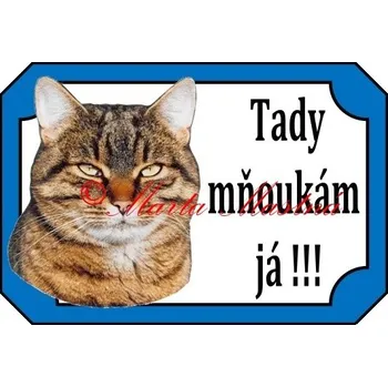 Cedulka kočka britská tygrovaná - Bez samolepicí vrstvy