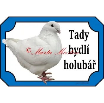 Cedulka holub gigant homer - Bez samolepicí vrstvy