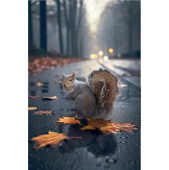Plakát Plakát, Obraz - Autumn Squirrel, Marcel Egger