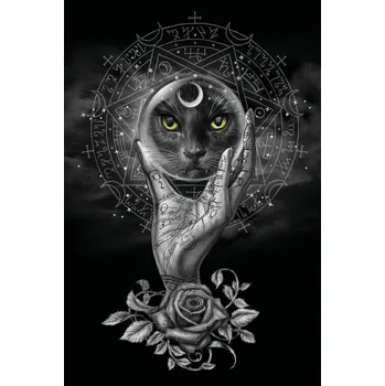 Plakát Plakát, Obraz - Grimalkin's Glass, Alchemy