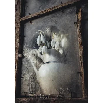 Plakát Plakát, Obraz - Spring flowers, Normunds Kaprano