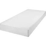 Brotex Nepropustné prostěradlo BAMBOO Velikost: Velikost 90x200 cm