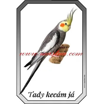 Cedulka korela, papoušek - Bez samolepicí vrstvy