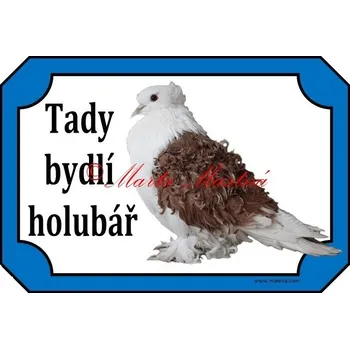 Cedulka holub kudrnáč - Bez samolepicí vrstvy