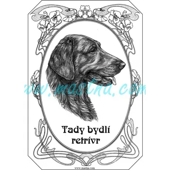 Cedulka flat coated retriever ovál - Bez samolepicí vrstvy