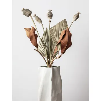 Plakát Plakát, Obraz - Dried 003, Studio Collection