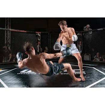 Plakát Plakát, Obraz - Knock Out, Marcel Egger