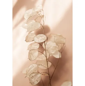 Plakát Plakát, Obraz - Last Summer 12, Mareike Bohmer