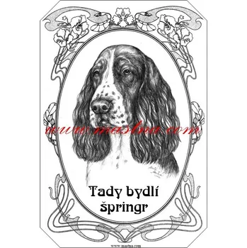 Cedulka anglický špringršpaněl, springer spaniel ovál 2 - Bez samolepicí vrstvy