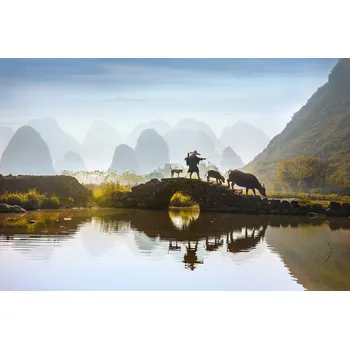 Plakát Plakát, Obraz - Buffalo Farmer, Istvan Kadar