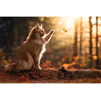 Plakát Plakát, Obraz - Autumn Cat, Marcel Egger