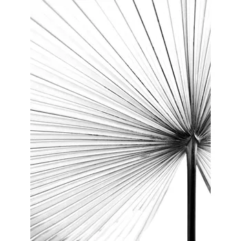 Plakát Plakát, Obraz - Leaf, Magda Izzard