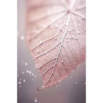 Plakát Plakát, Obraz - Rosy Leaf, Treechild