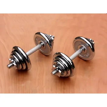 Nakládací činky 2x10kg P