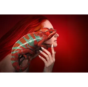 Plakát Plakát, Obraz - Red Friends, Marcel Egger