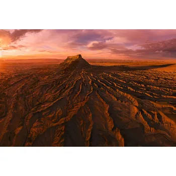 Plakát Plakát, Obraz - Roots of the Earth, James Cai