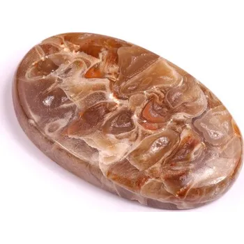 Korálek Kabošon Peanut Fossil č.2525 (37x22x6mm)