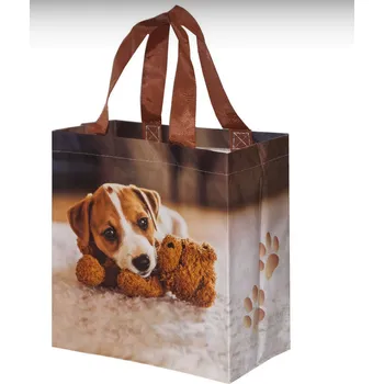 Nákupní taška Taška svačinová s pejskem 26x27cm (Eko taška pes)
