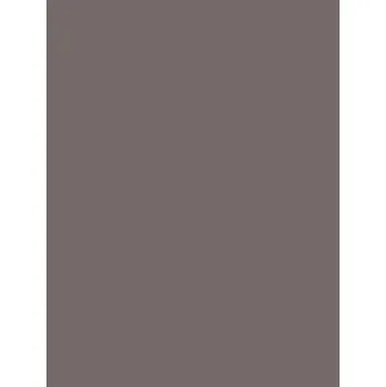 Obklad Rako Concept plus obkládačka tmavě šedá 25x33 (WAAKB011)