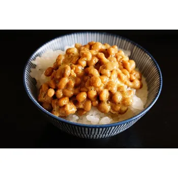 Limonáda Natto startér