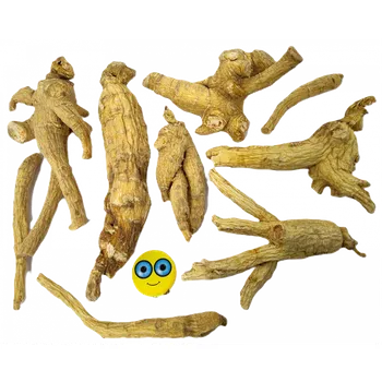 Doplněk stravy STEZA - Ženšen pravý kořen celý 100g (Kvalitní ženšen - kořen celý)