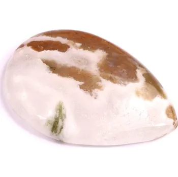 Korálek Kabošon Tree Agate č.2587 (41x28x7mm)