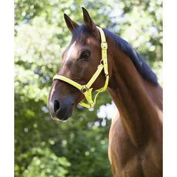 Ohlávka pro koně NORTON FLUO žlutá vel. cob