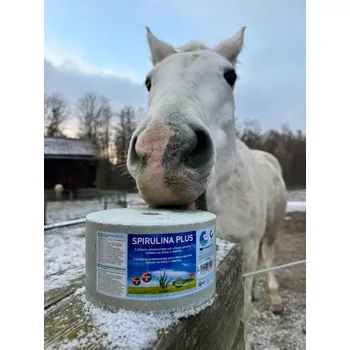 Minerální liz z mořské soli se spirulinou vitamíny a esenciální živiny 3 kg (Speciální receptura se spirulinou bohatou na vitamíny a esenciální živiny. Pomáhá při nasvalení a může pozitivně působit na energetický metabolismus.)