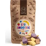 NATU Lyo Smoothie mix jahoda banán borůvka 75 g