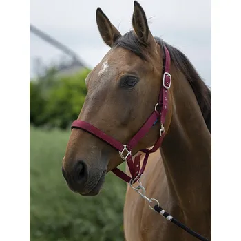 Ohlávka pro koně NORTON Satine vínová vel. full
