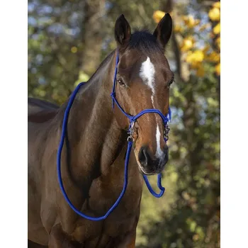 Vybavení pro koně Jezdecká provazová ohlávka Norton včetně otěží royal blue