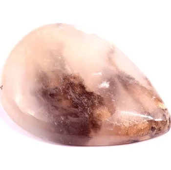 Korálek Kabošon Dendrite Tiger č.2743 (32x23x7mm)