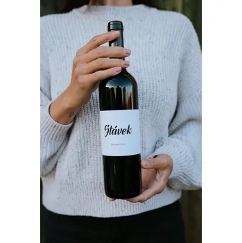 Frankovka 2023, moravské zemské víno, Ondřej Stávek, suché