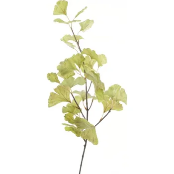 umělá květina umělá větev, Jinan dvoulaločný zelený V76 cm