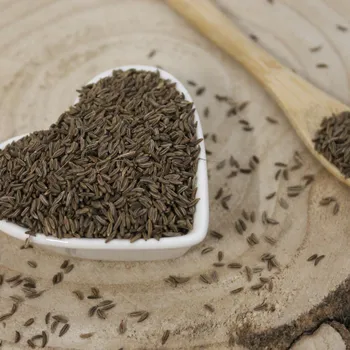 Kmín kořenný - plod celý - Carum carvi - Fructus carvi 250 g