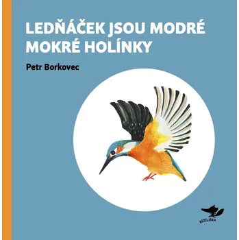 Pohádka Lednáček jsou modré mokré holínky - Petr Borkovec, Martin Krkošek, Filip Pošivač, Andrea Tachezy
