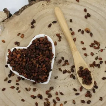 Sušená potravina Rakytník řešetlákový - plod celý - Hippophae rhamnoides - Fructus hippophae 50 g