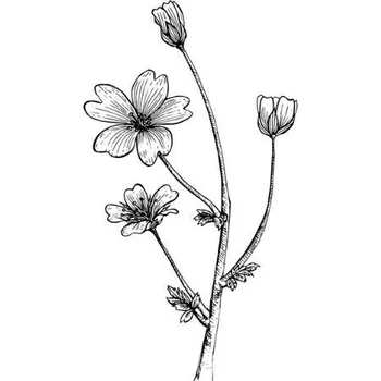 Pleťový olej Mokřadkový olej 100% Alteya Organics 50 ml