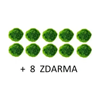 Dekorace do akvária Řasokoule zelená (cladophora aegagropila) 3-4 cm 10 ks + 8 ZDARMA