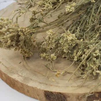 Koření Řebříček obecný - květ celý - Achillea millefolium - Flos millefolii 250 g