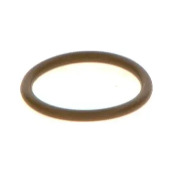 Těsnění motoru Těsnicí kroužek BOSCH F 00V C38 044