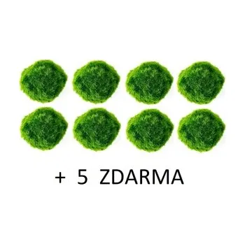 Dekorace do akvária Řasokoule zelená (cladophora aegagropila) 3-4 cm 8 ks + 5 ZDARMA